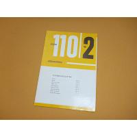 Delphin 110-2 Aufbauanleitung